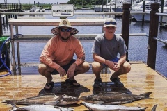 Coral-btm-Cobia